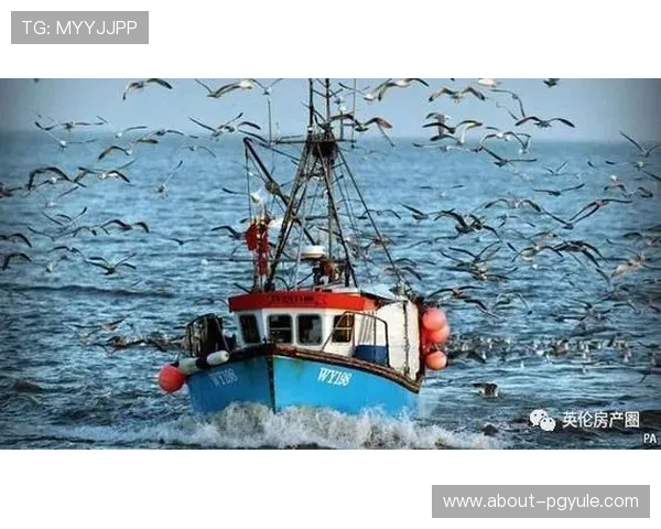 如何提升PA电子捕鱼的中奖率，帮助玩家赚取更多游戏奖励的方法解析