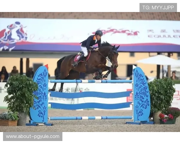 如何下载和注册e星体育真人app，开启你的专业体育娱乐新体验