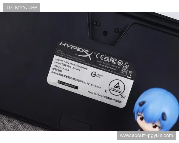 详细解读ag试玩会员注册的方法与必备条件